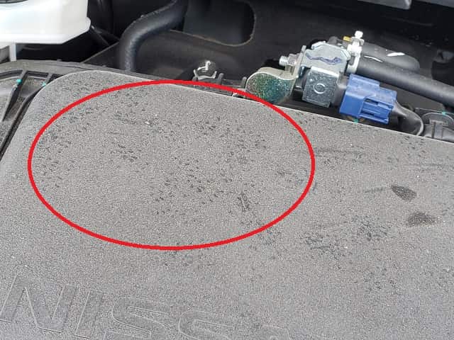 車のエンジンルームにネズミが侵入 ハッカ油で寄せ付けない ゴリブロ